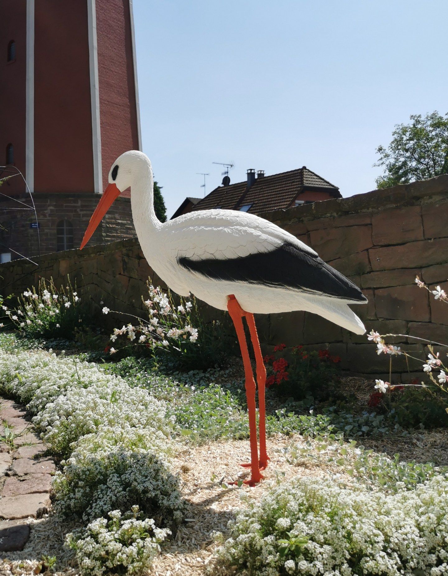 Bienvenue à la nouvelle cigogne !